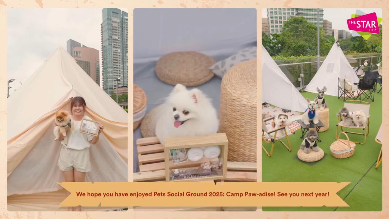 The Star Vista – Pets Social Ground (2025) Role: Event Videographer Overview: Produced lifestyle and retail event highlight videos for major suburban mall activations.